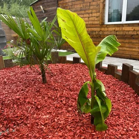 Chez Tof Et Ninie Nyaraló